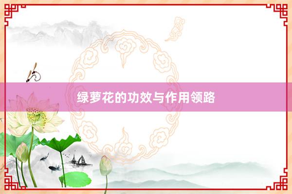 绿萝花的功效与作用领路