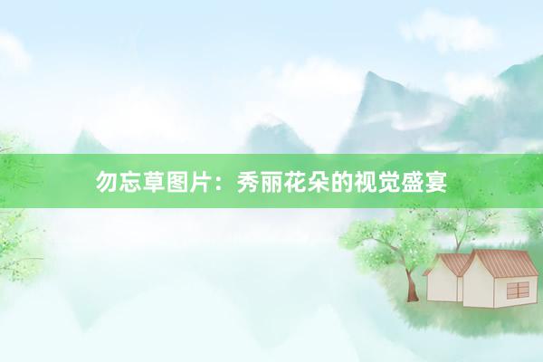 勿忘草图片:秀丽花朵的视觉盛宴