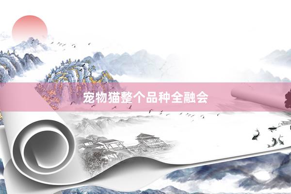 宠物猫整个品种全融会